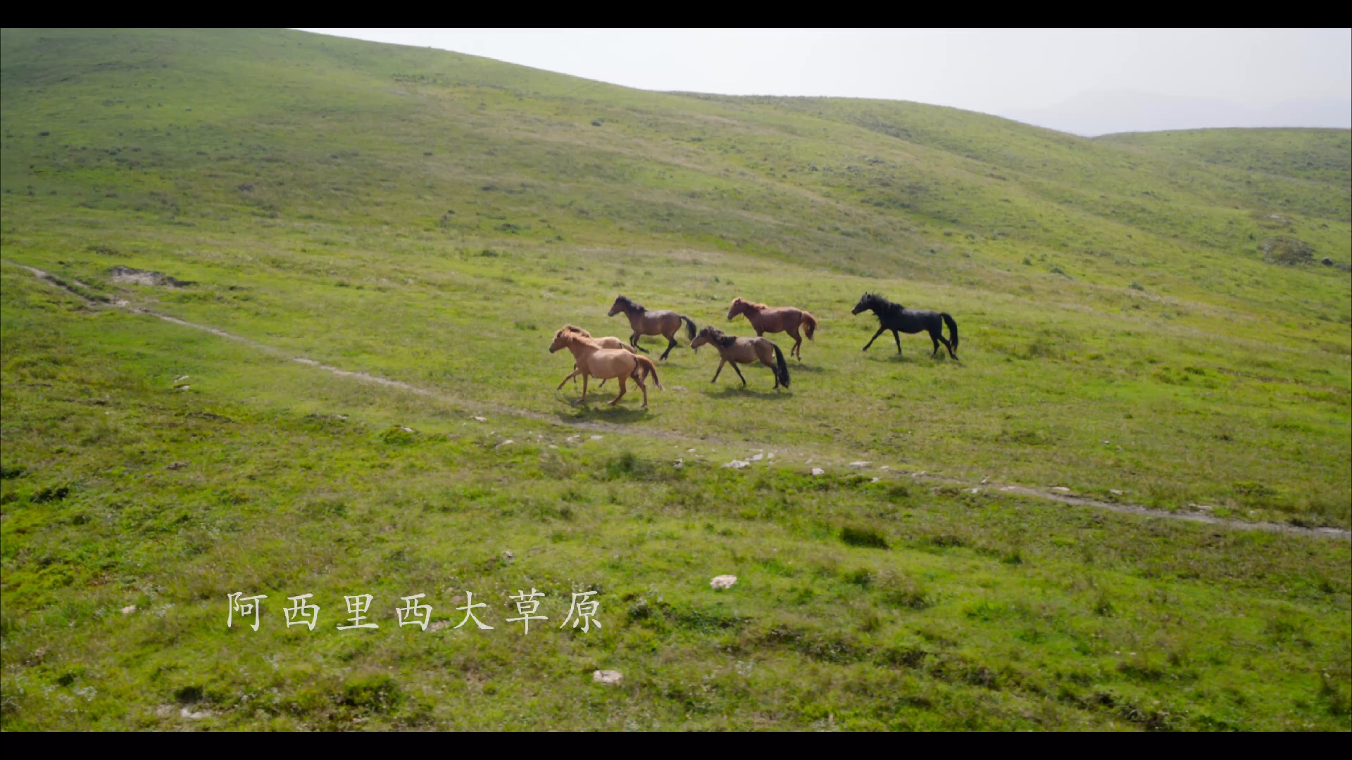 风景调色练习,素材来源影视飓风官网哔哩哔哩bilibili