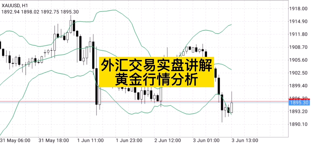 【雨白财经】外汇交易实盘操作讲解黄金行情分析6月2号哔哩哔哩bilibili