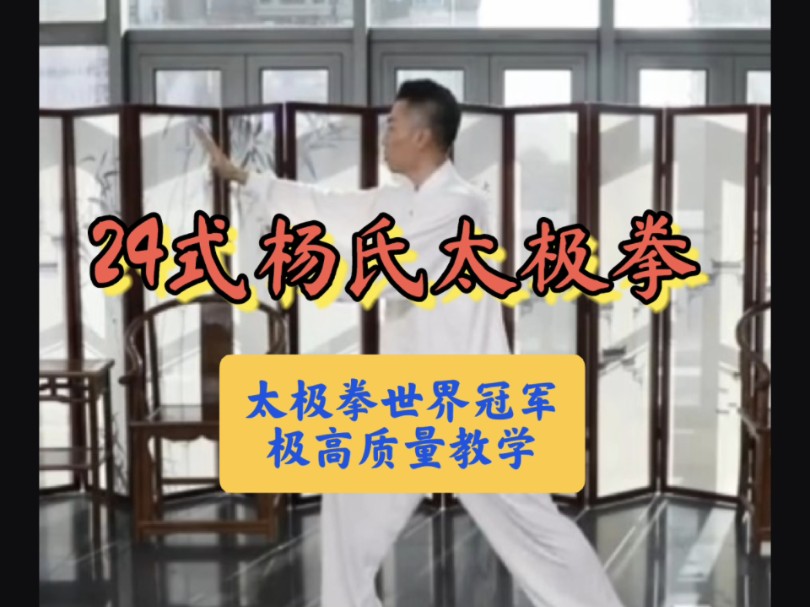 24式杨氏太极拳高质量教学—太极拳入门哔哩哔哩bilibili