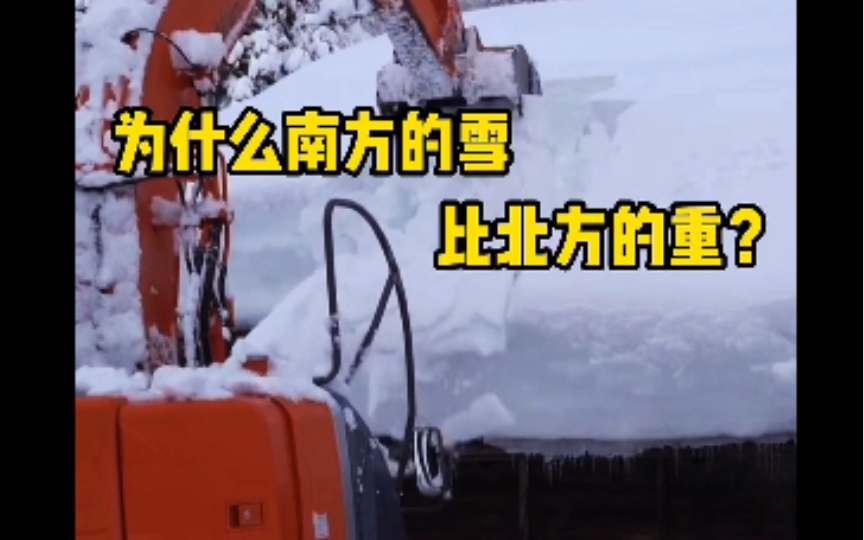 为什么南方的雪比北方的重?这是因为雪也有干雪和湿雪之分.哔哩哔哩bilibili