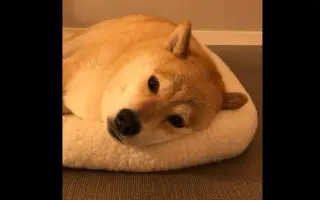 韩国正太maru 搜索结果 哔哩哔哩 Bilibili