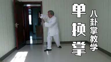 宫派八卦拳-哔哩哔哩_Bilibili