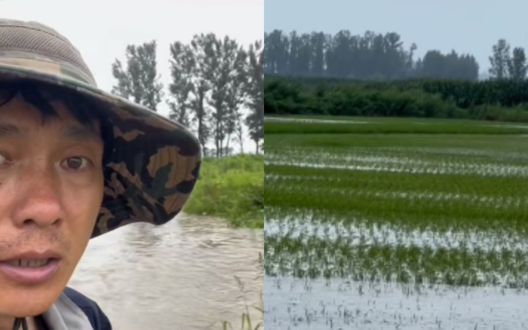 黑龙江五常遭暴雨侵袭稻田被淹,农户:正是水稻抽穗关键时期哔哩哔哩bilibili