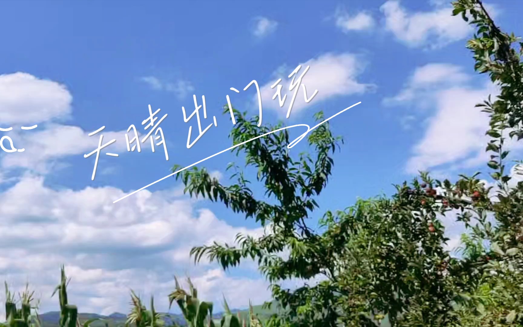 天晴了,出门溜达去_哔哩哔哩_bilibili