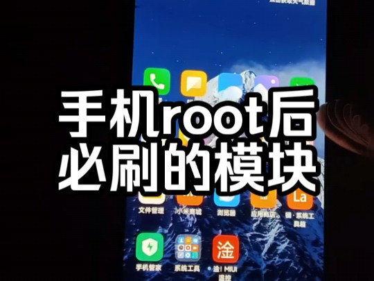 手机root后必刷的模块哔哩哔哩bilibili