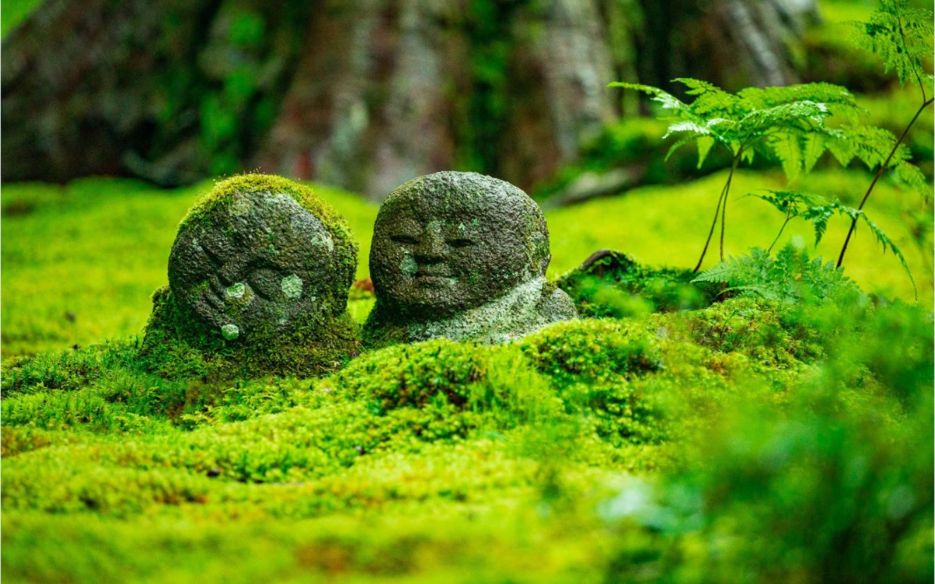京都可爱的小地藏菩萨19选