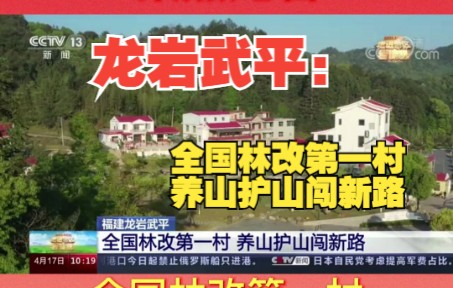 福建龙岩武平:全国林改第一村 养山护山闯新路哔哩哔哩bilibili