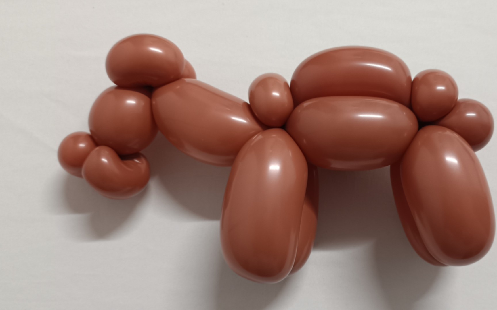 骆驼 魔术气球造型 初级