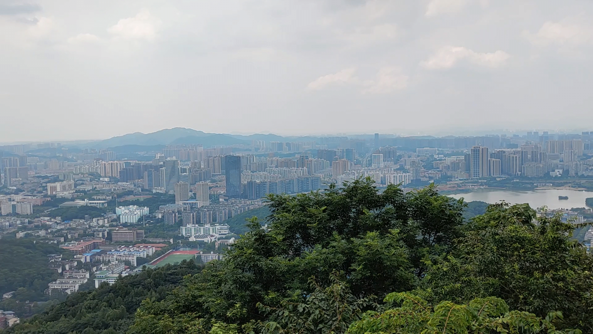 岳麓山夏天图片图片