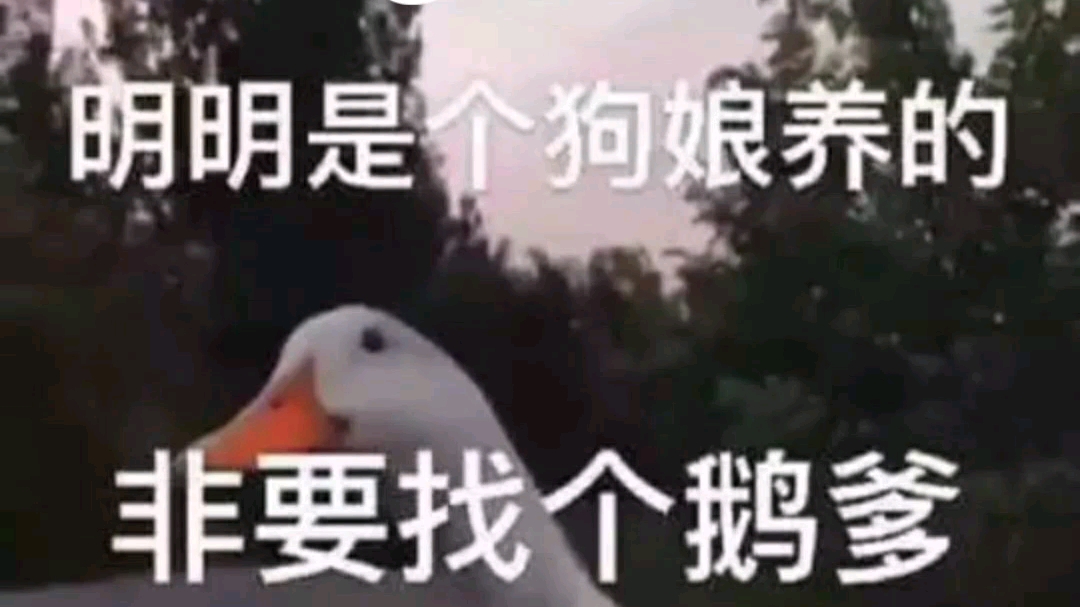 我是一直小黄俄