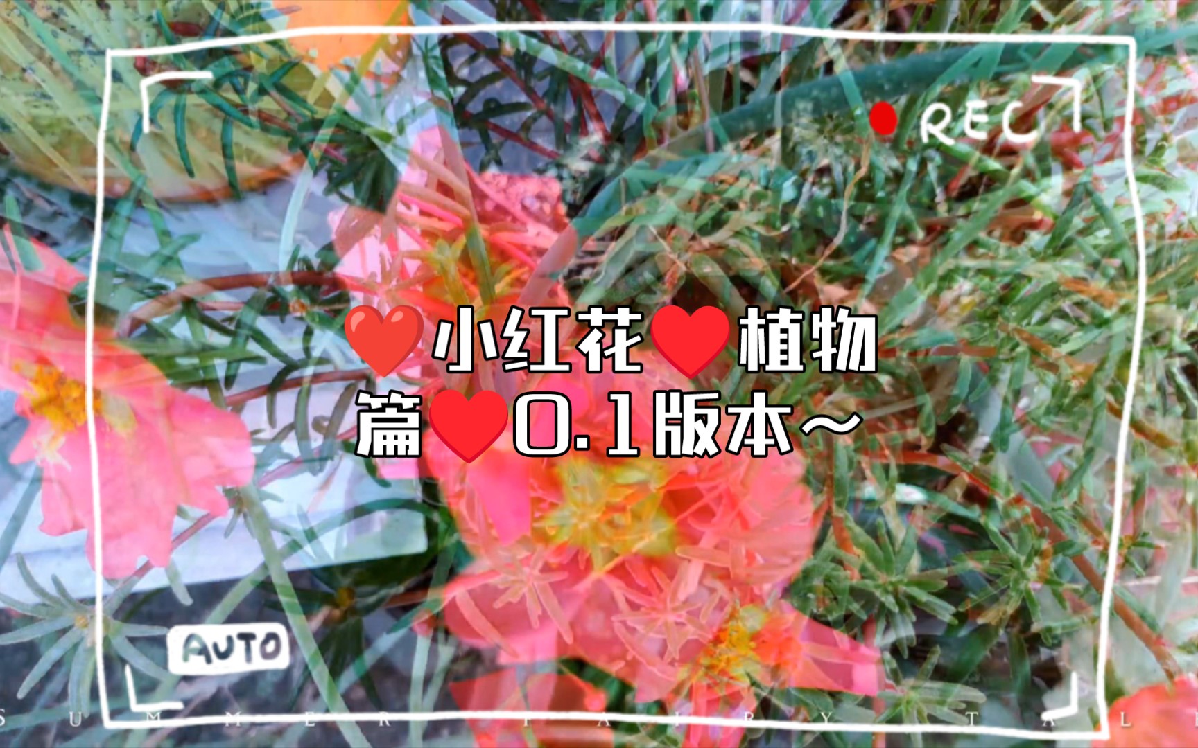 [图]现实与梦：卒到麻木，醒来遗忘！❤️小红花♥植物篇♥0.1版本～