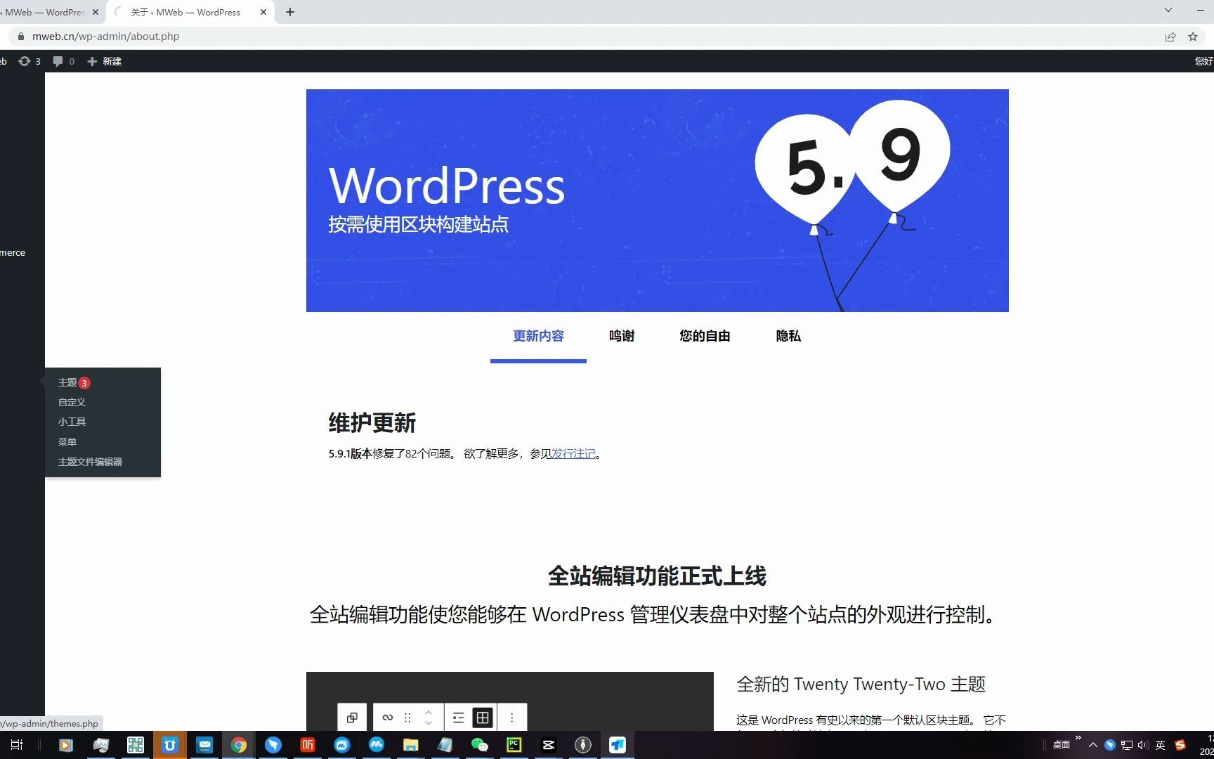 WordPress Sage主题右上角菜单设置哔哩哔哩bilibili