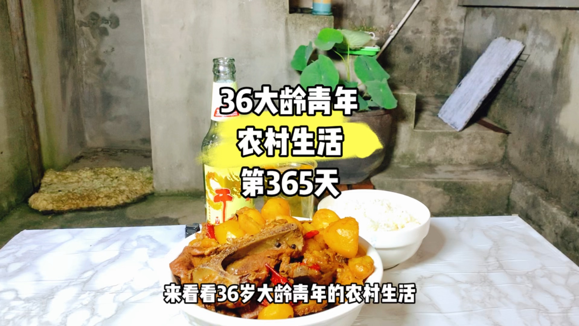 36岁大龄青年在农村生活的第365天!哔哩哔哩bilibili