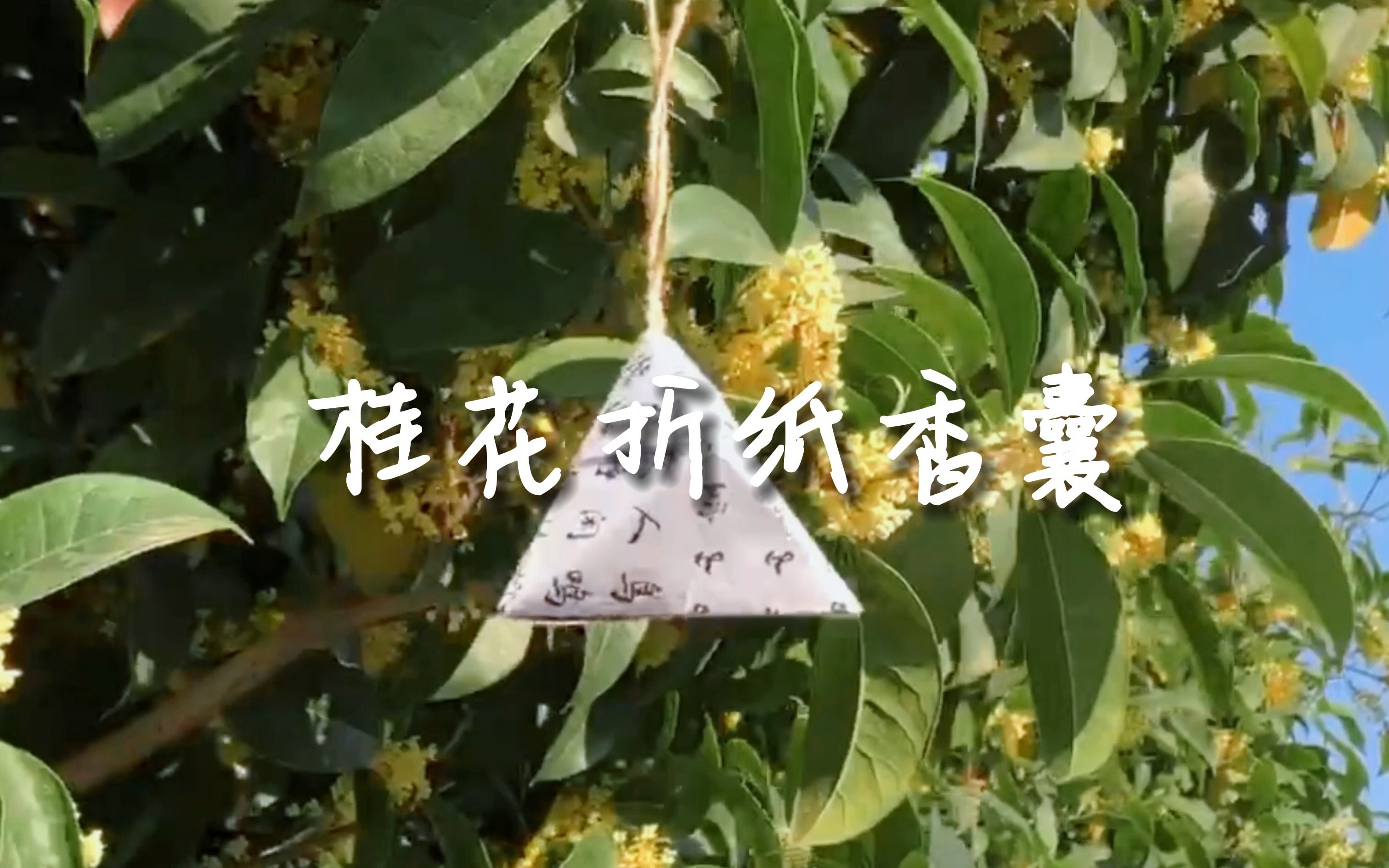 [图]【桂花折纸香囊】学会101种自然手工|如何制作桂花折纸香囊？