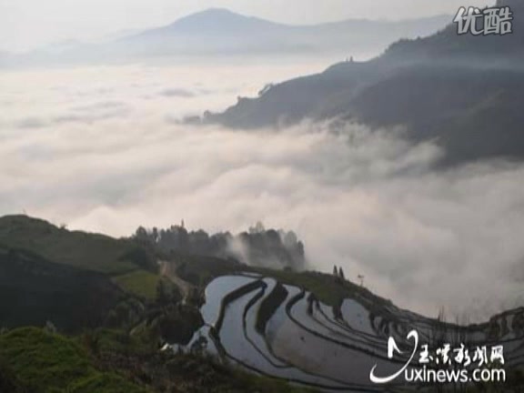 [图]妙音鸟 神思者 纯音乐