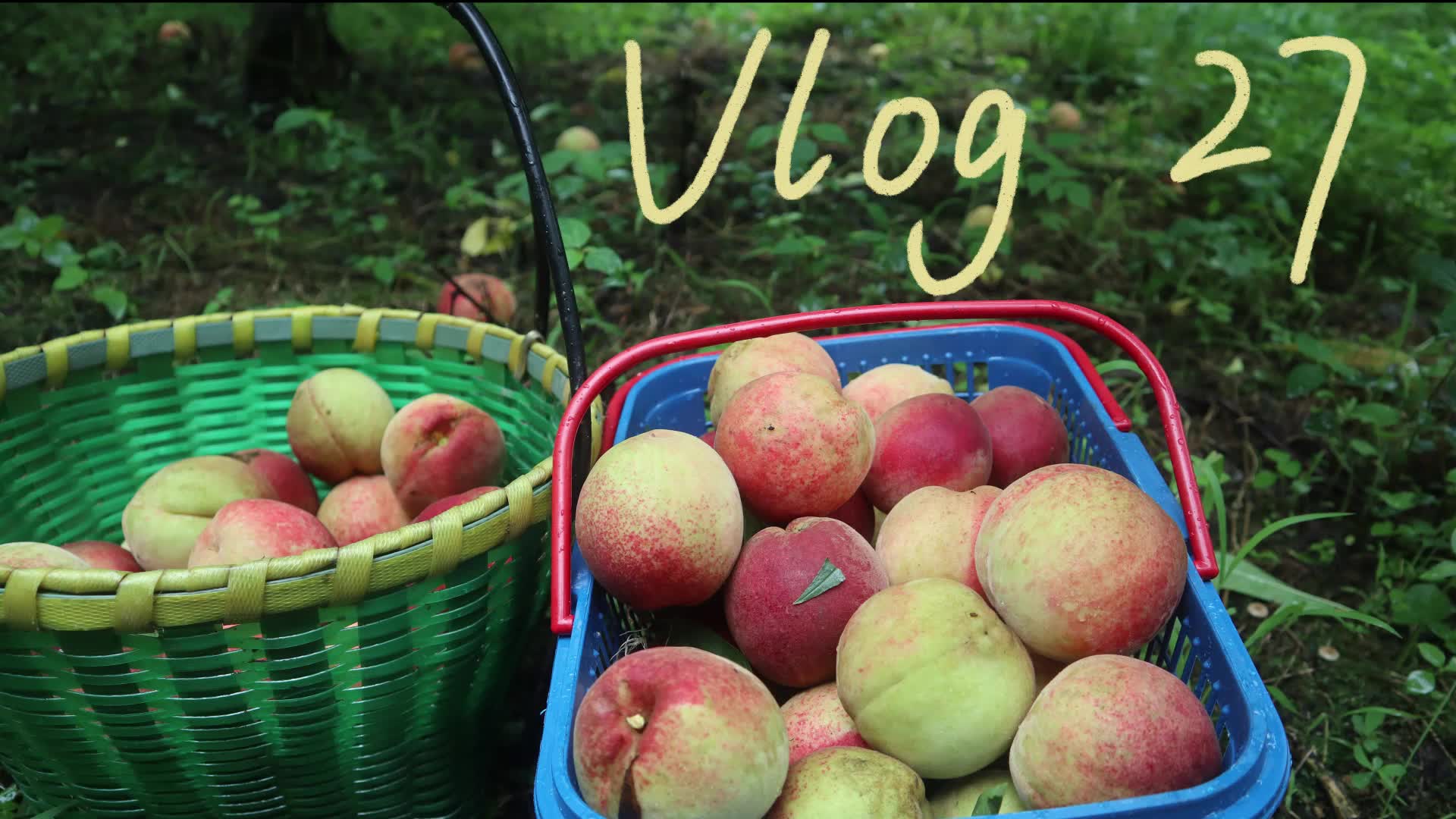 vlog27#七月是桃子的季节/七月的意义