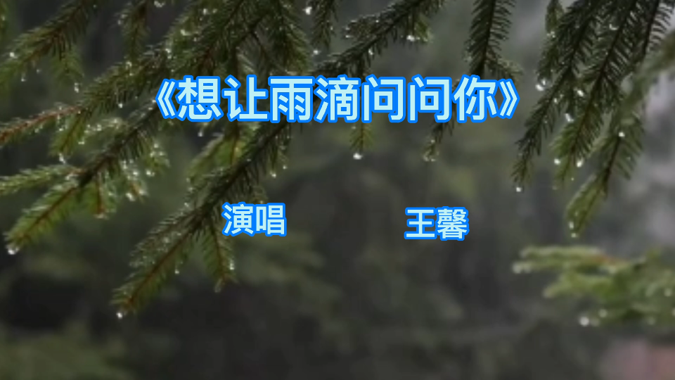 《想让雨滴问问你》#演唱 王馨哔哩哔哩bilibili