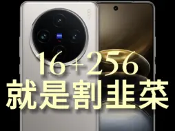 Download Video: vivo X100S的16+256为什么别买