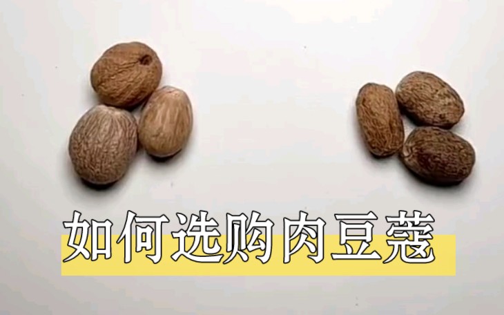 中草药质量辨别之肉豆蔻哔哩哔哩bilibili