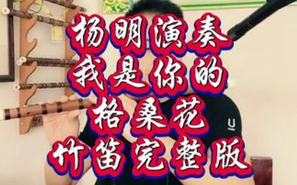 杨明演奏我是你的格桑花竹笛完整版哔哩哔哩bilibili