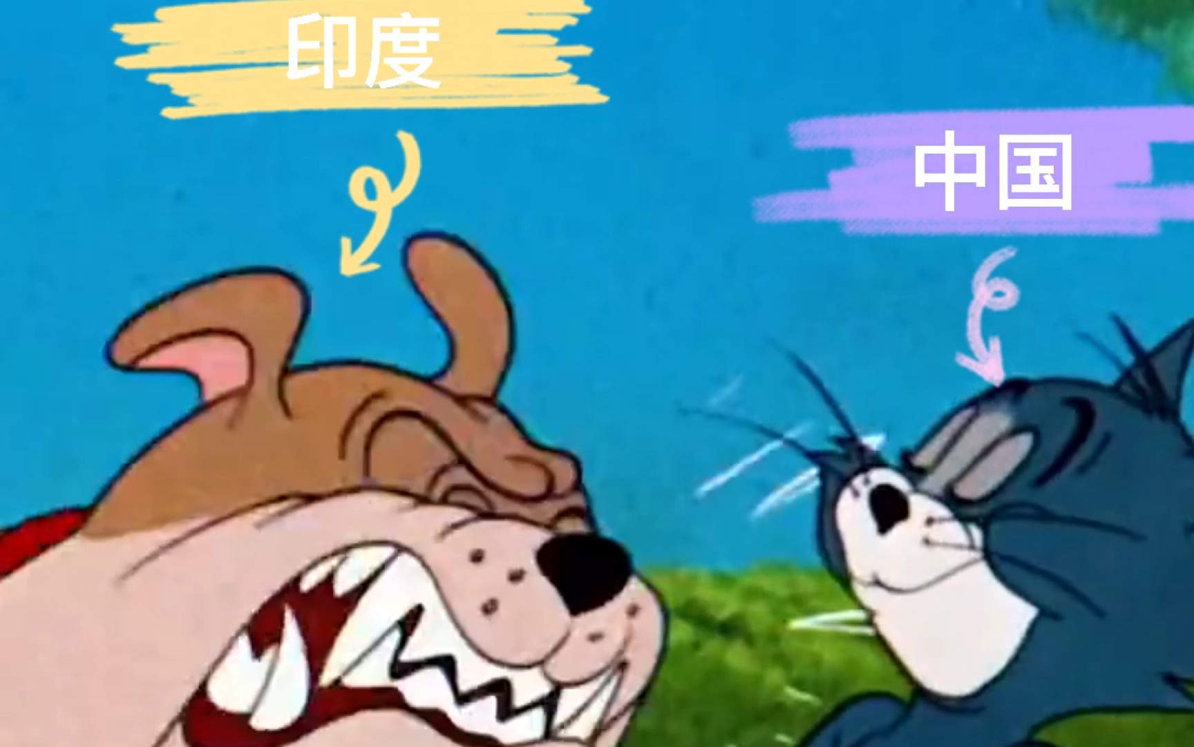 印度，你很勇吗_哔哩哔哩_bilibili