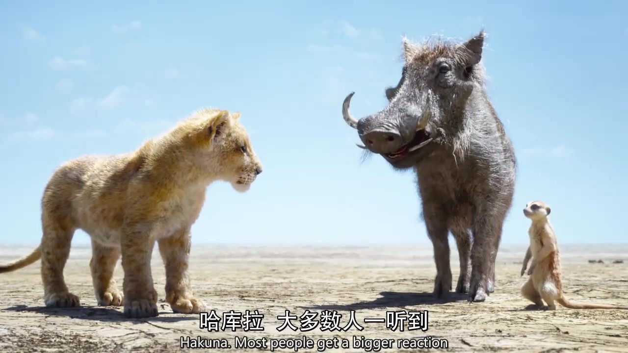 The.Lion.King.丁满和彭彭哈库纳玛塔塔哔哩哔哩bilibili