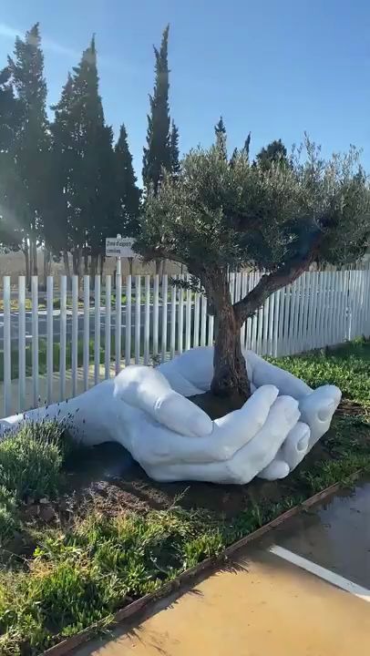 保护橄榄树的"人手雕塑"!国外一位雕.