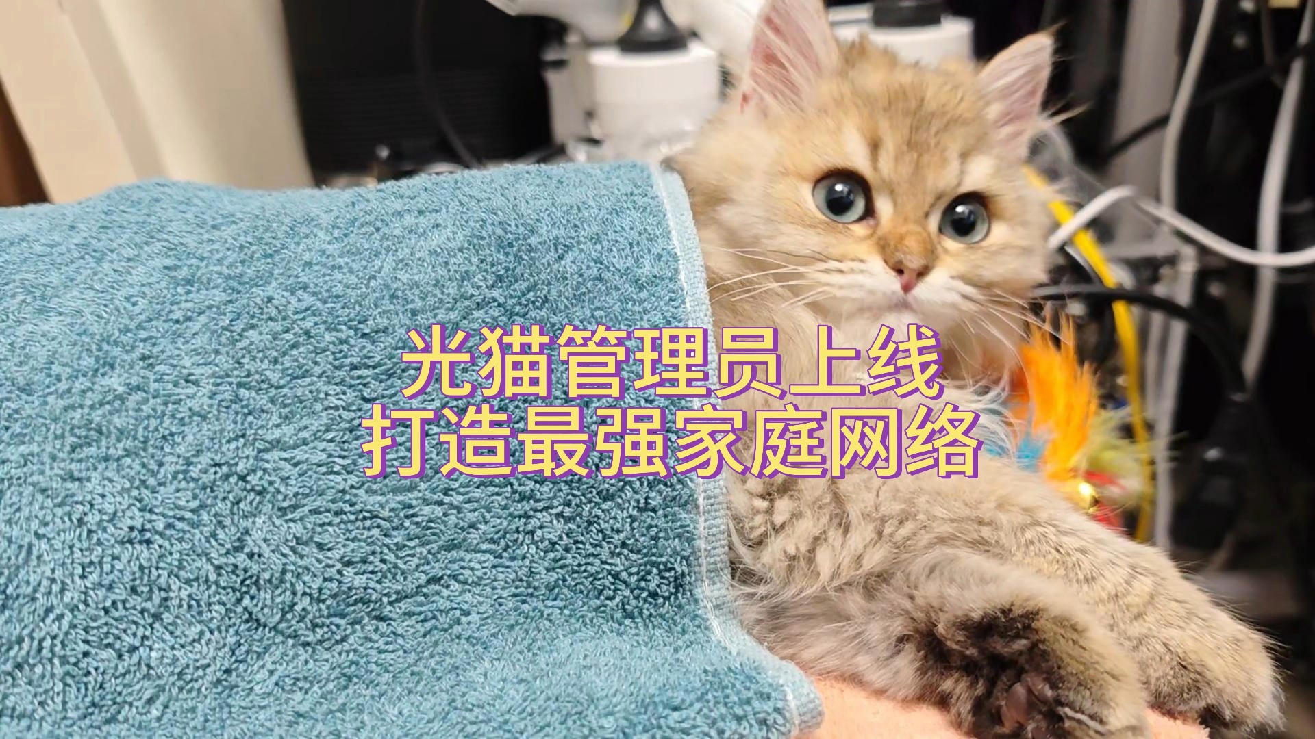 光猫管理员上线,打造最强家庭网络!哔哩哔哩bilibili