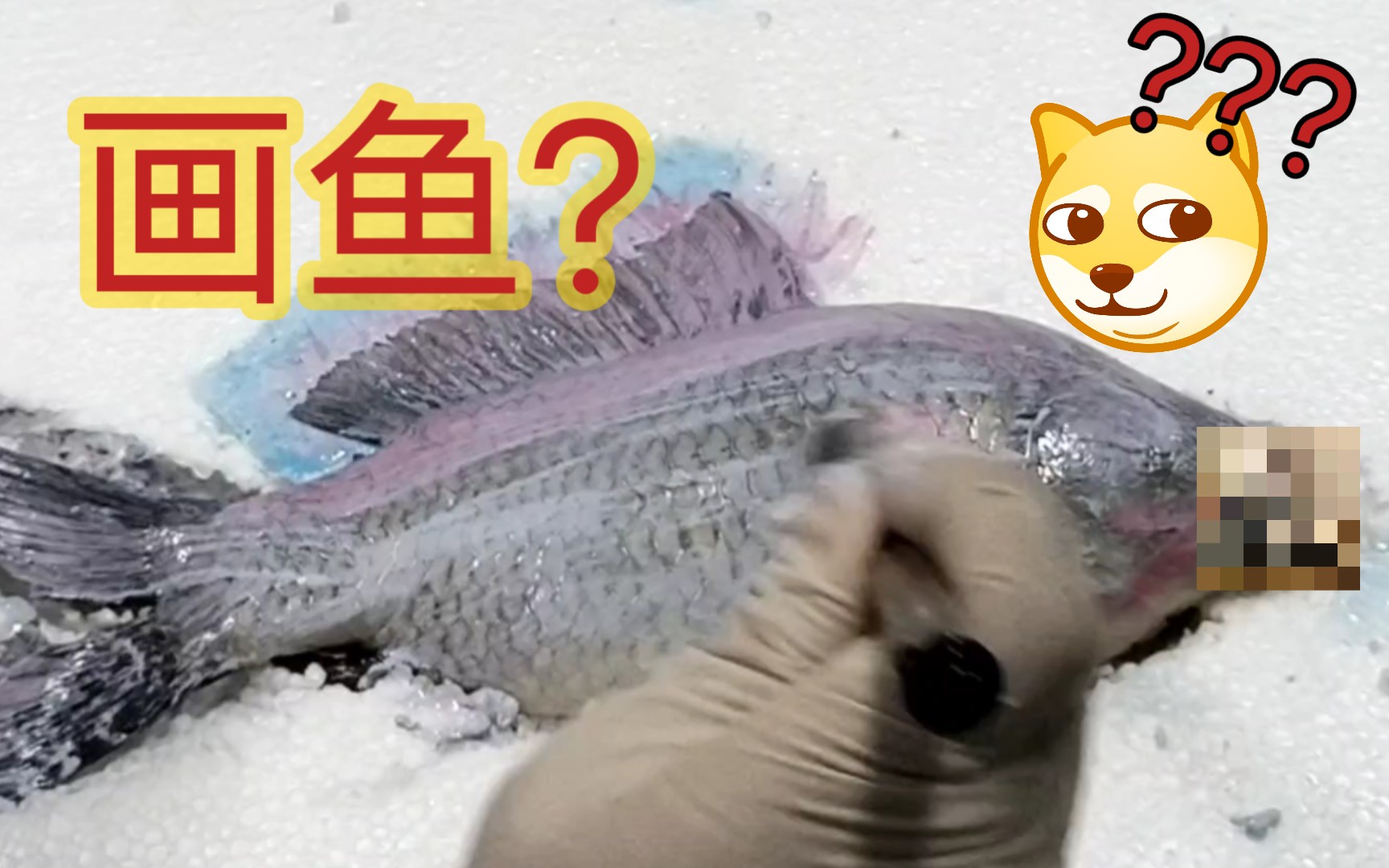 【鱼拓】最惨官方卖艺求出道!!!画鱼?还能这么画?哔哩哔哩bilibili