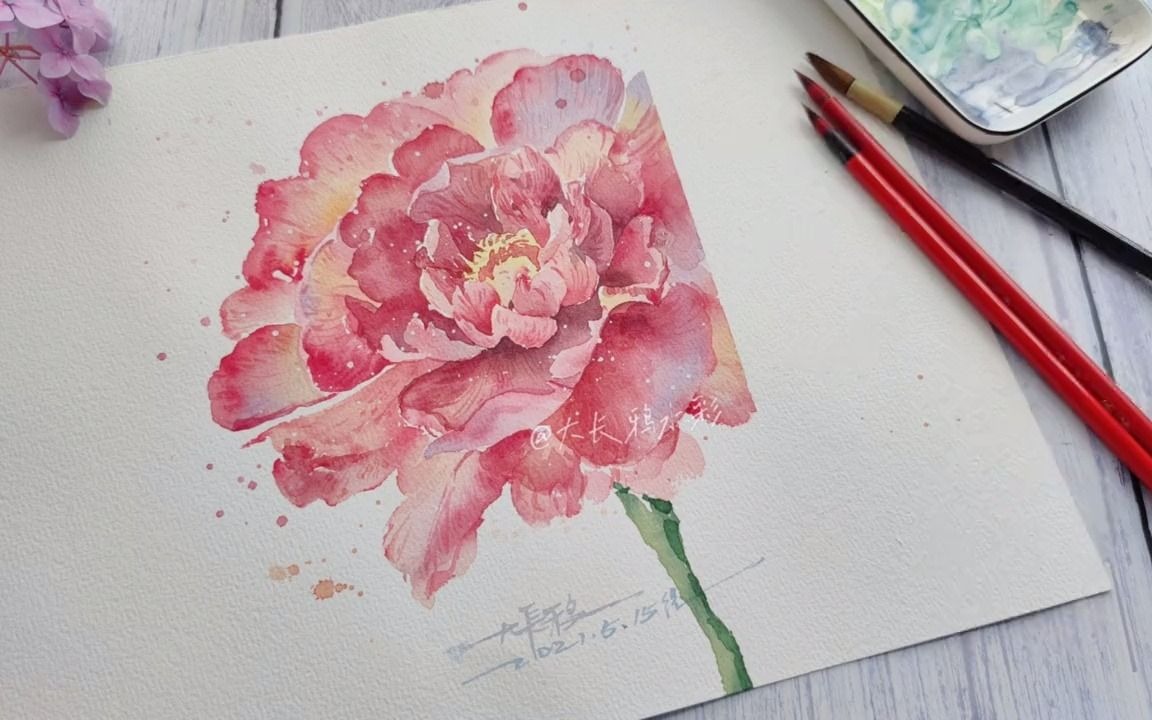 水彩花卉芍药花