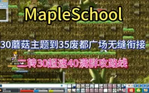 Download Video: MapleSchool30级秒升40满群攻