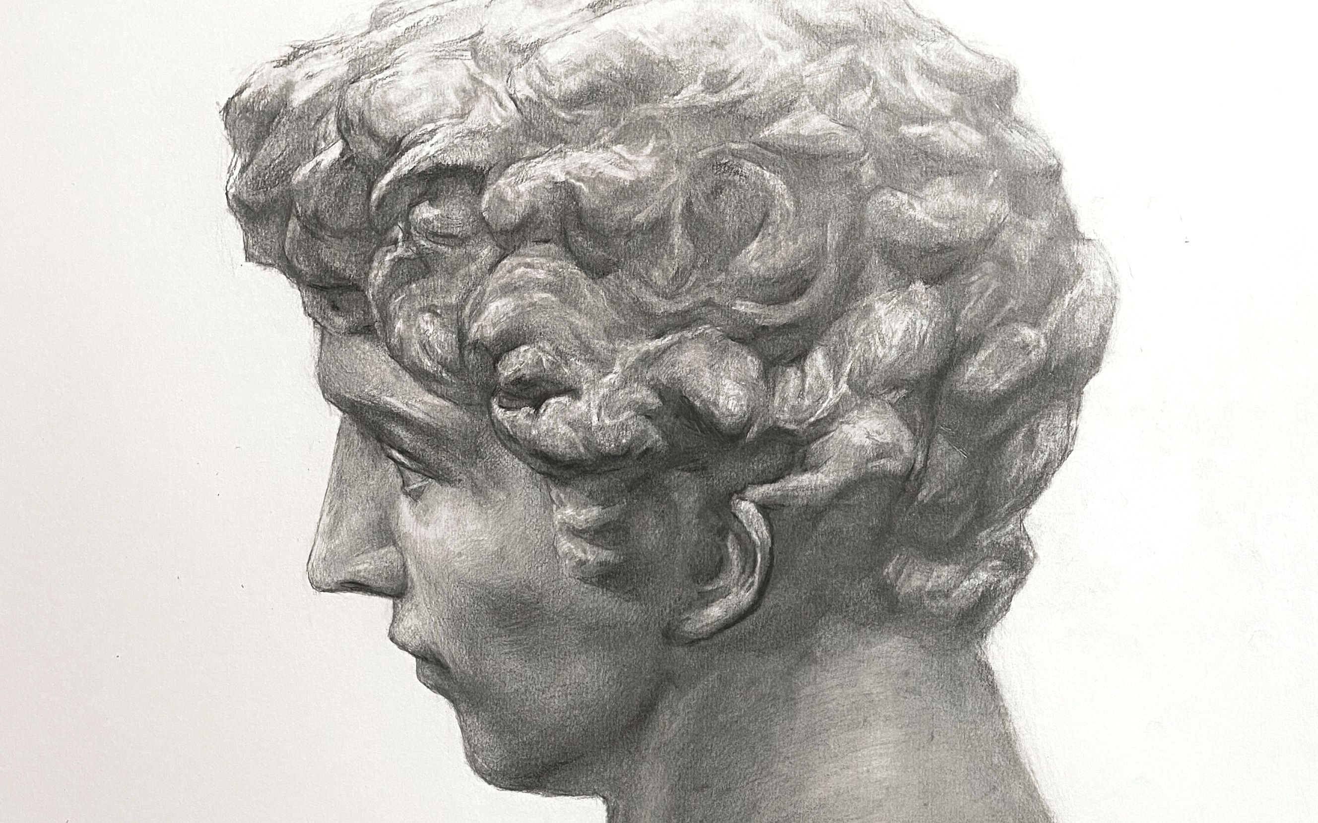 【素描石膏】美第奇 背光