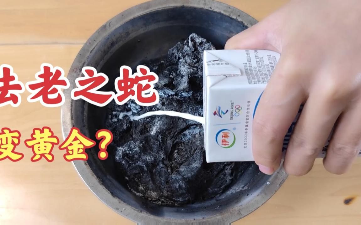据说法老之蛇加入牛奶后,静止24小时就能变黄金!这是真的吗?