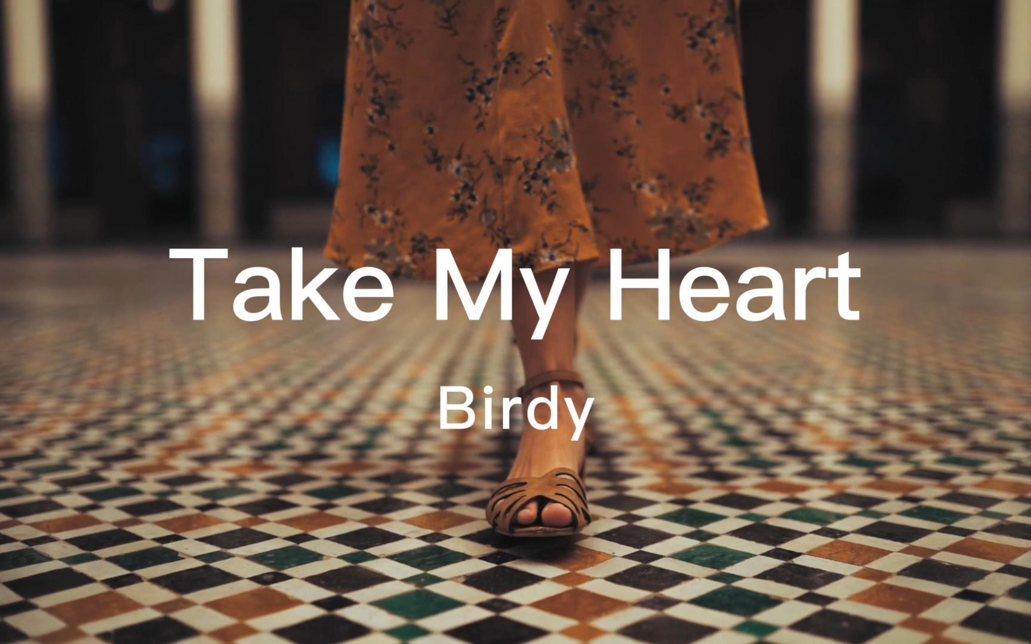 [图]唯独与你 我想用心聆听《Take My Heart》Birdy