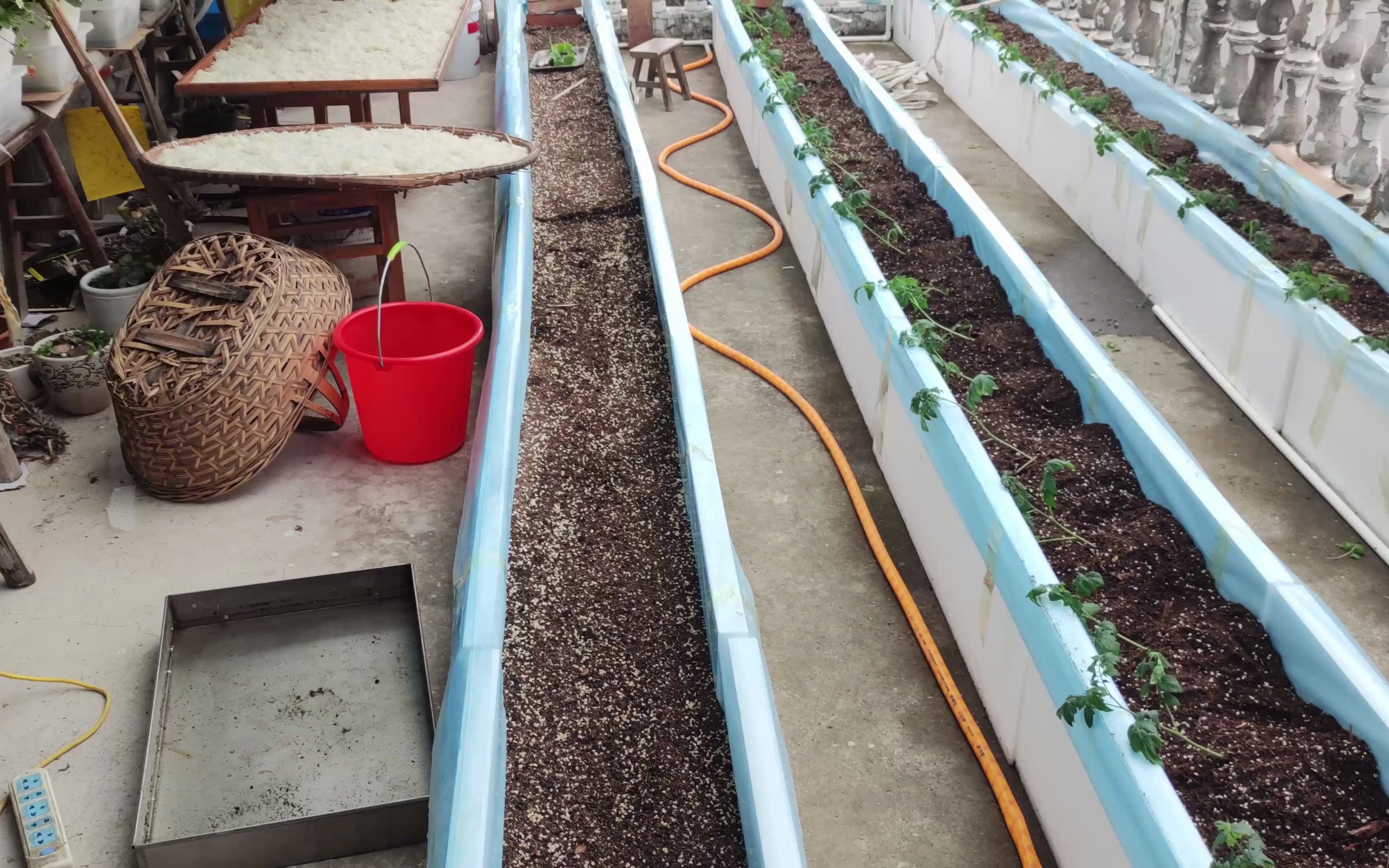 无土栽培种植槽以完成,今天移栽小番茄和水果黄瓜和香瓜_哔哩哔哩