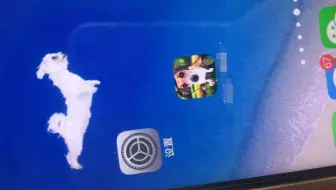 【简科技】在手机屏幕上养只小狗，女友看后把苹果换成了安卓手机