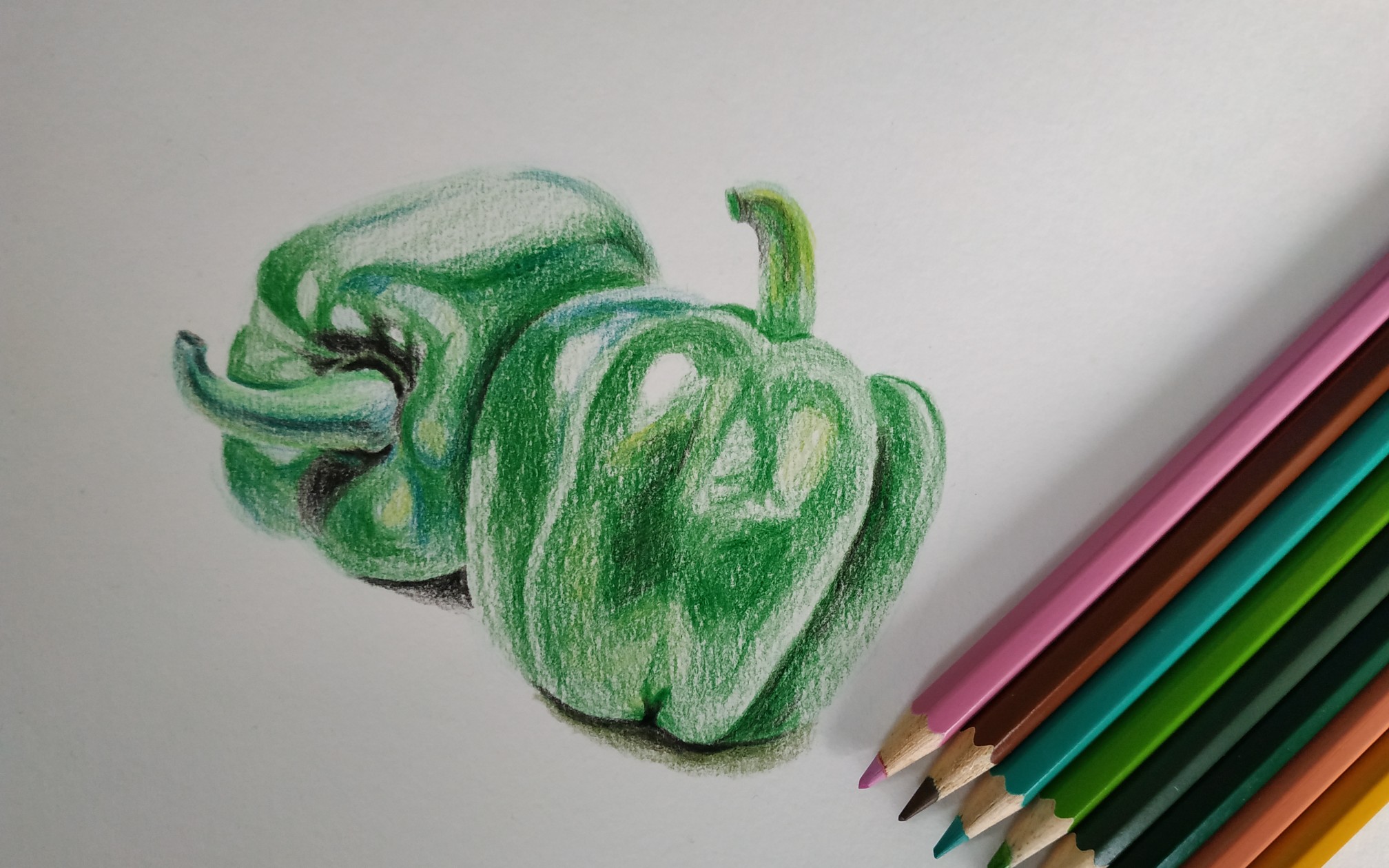 【彩铅】萌新手绘青椒