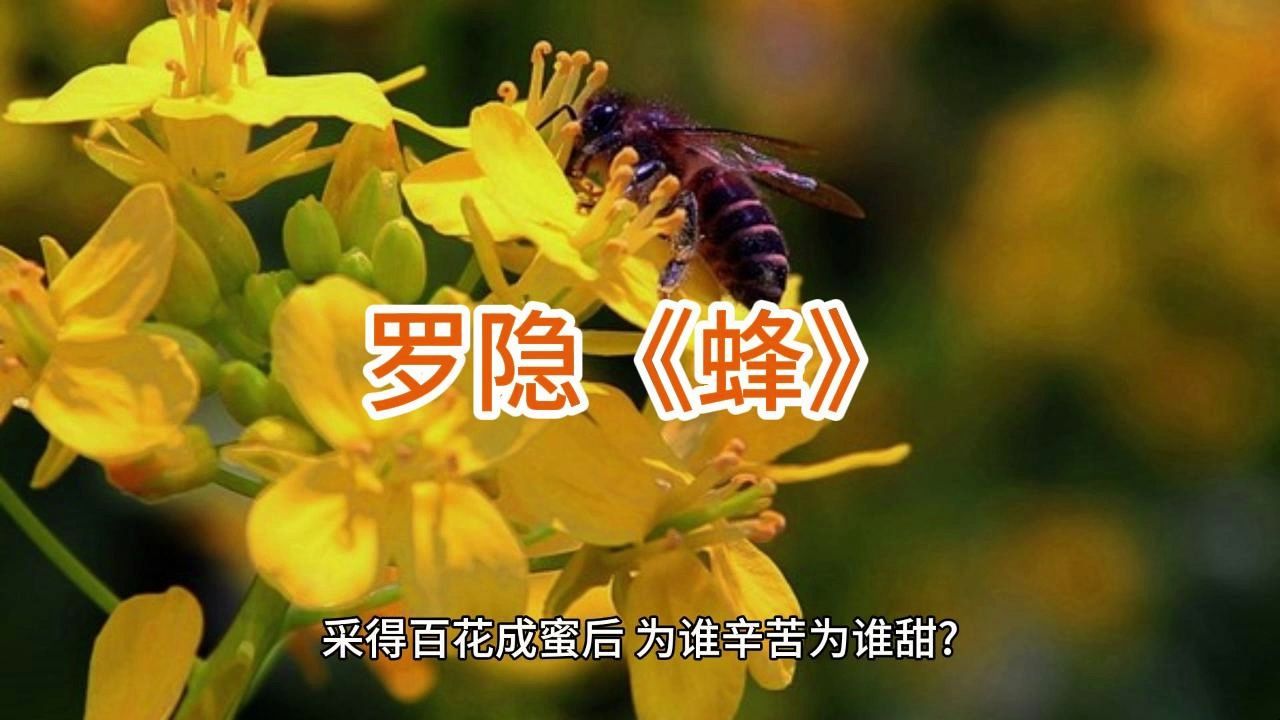 小学生必背的古诗词呀~罗隐《蜂》