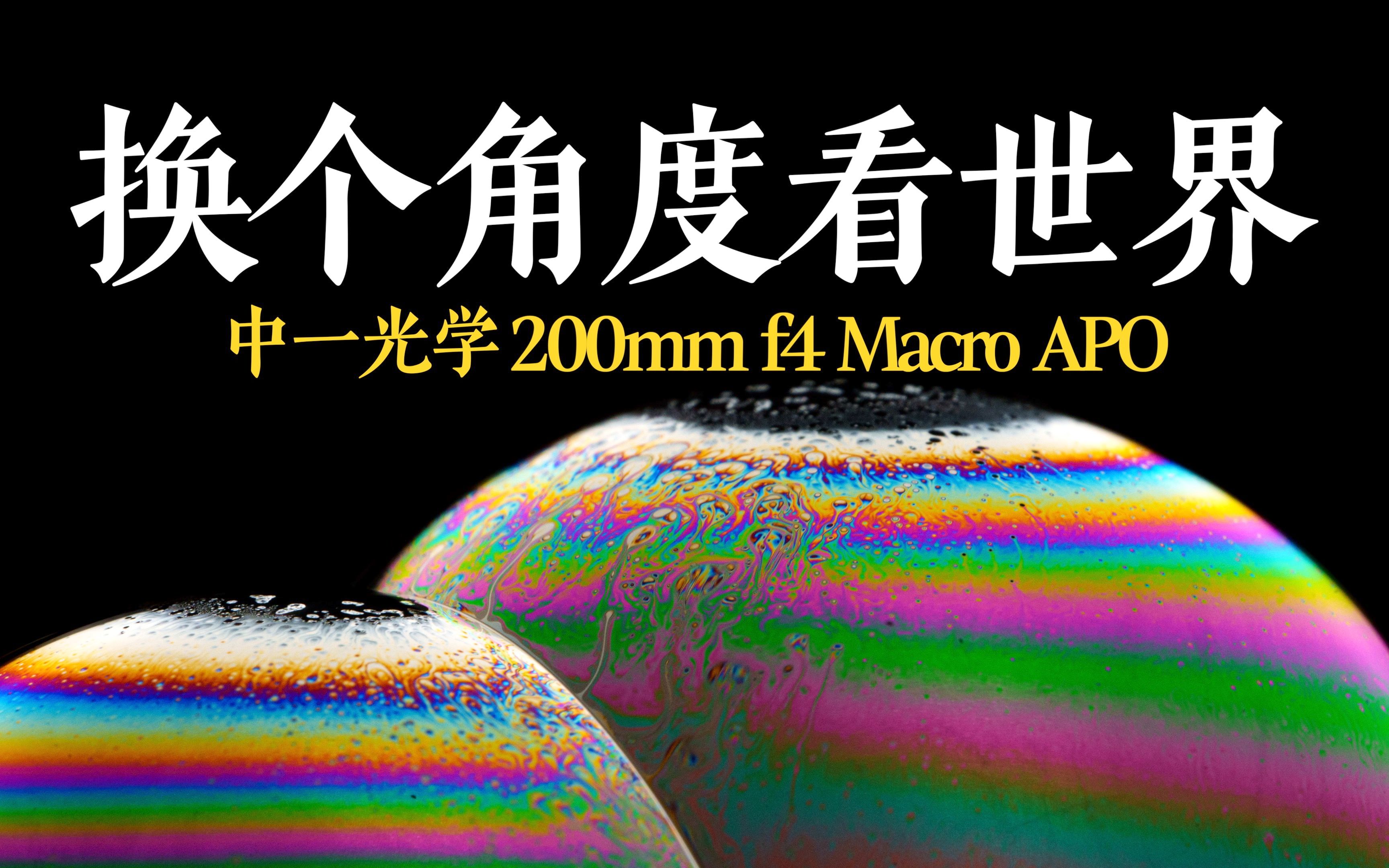 于宏片处见细微 中一光学200mm f4长焦微距下的“视”界哔哩哔哩bilibili