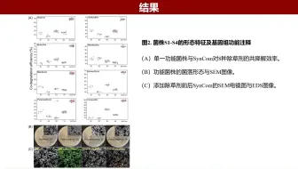 iMeta | 中科院南土所褚海燕组-解析合成菌群在除草剂降解和碳代谢中的调控机制