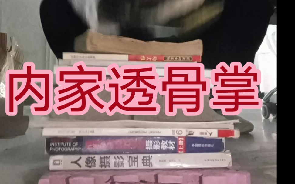 [图]内家透骨掌 穿透劲很强 威力大 只能娱乐 开心就好