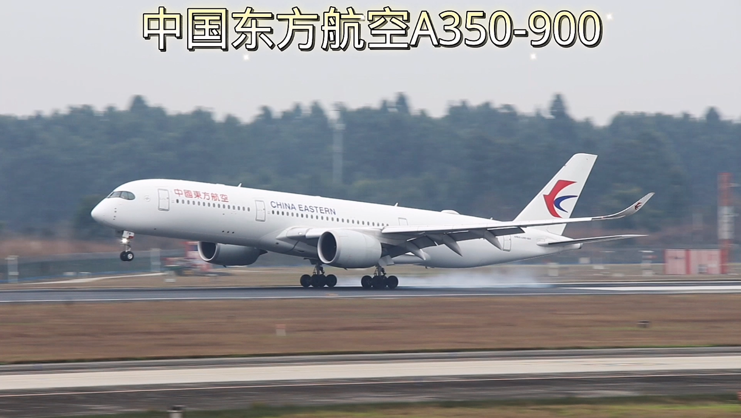 活动作品东航墨镜侠空客a350900稳稳地着陆双流机场