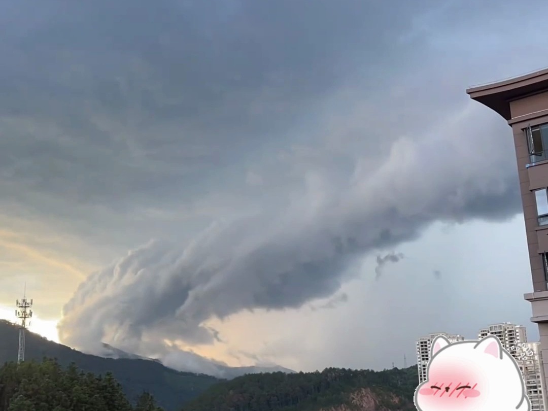 好标准的冷锋过境建议纳入教材