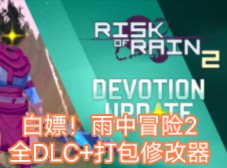 雨中冒险2v1.2.4.