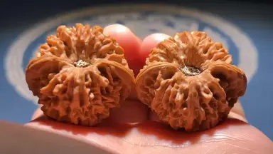 年末セール中！文玩核桃 龍门涧 龙门涧核桃-哔哩哔哩_Bilibili