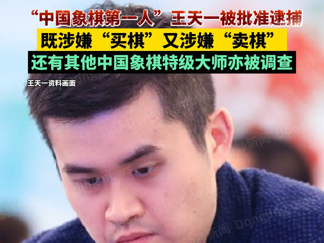 中国象棋第一人王天一被批准逮捕,既涉嫌“买棋”又涉嫌“卖棋”,还有其他中国象棋特级大师亦被调查哔哩哔哩bilibili