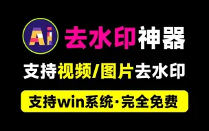 支持B站水印去除！一键视频/图片去水印工具，Ai水印移除工具，纯本地运行，支持win免费使用