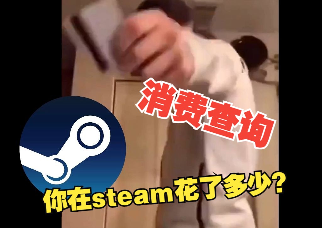 你还记得在steam花了多少吗? steam消费查询,原来我花了这么多!!单机游戏热门视频