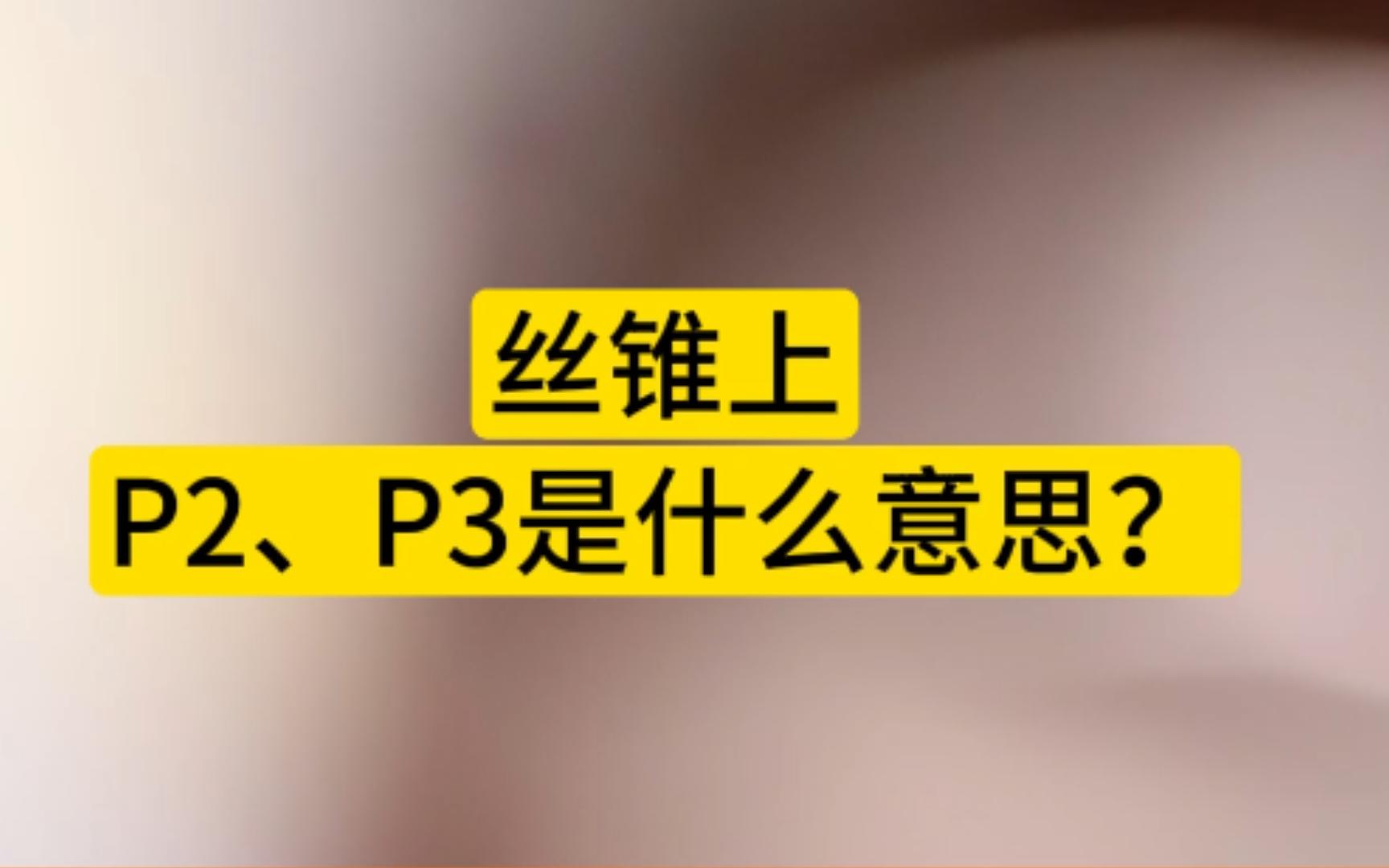 丝锥上P1P2是什么意思?哔哩哔哩bilibili