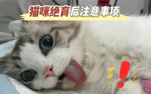 Download Video: 猫咪绝育注意事项